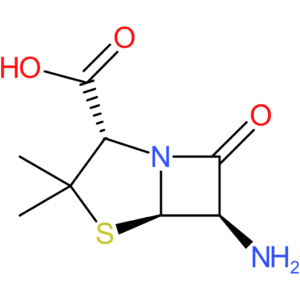 6-Aminopenicillanic acid