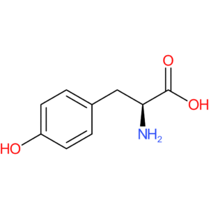 L-Tyrosine