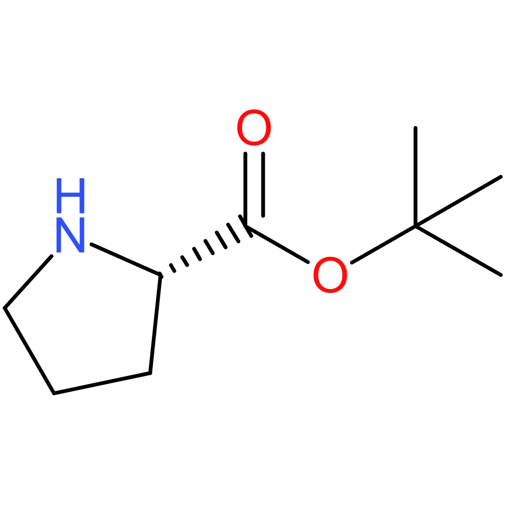 H-Pro-OtBu (syrup)