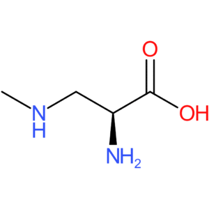 (S)-2-Amino-3-(methylamino)propanoic acid