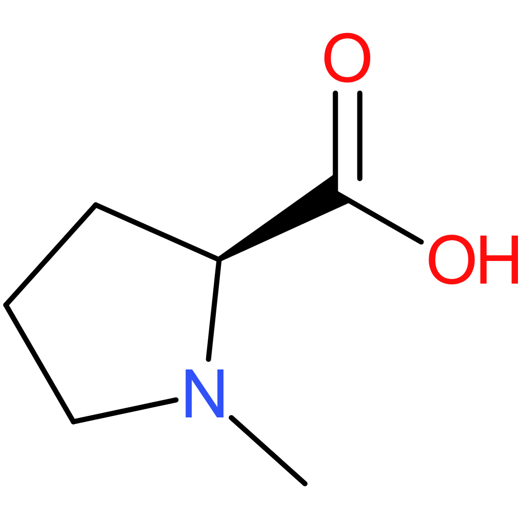 N-Methyl-L-proline