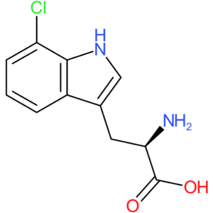 (R)-2-Amino-3-(7-chloro-1H-indol-3-yl)propanoic acid