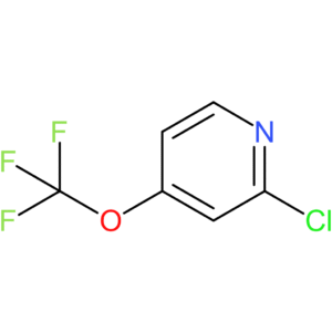 2-Chloro-4-(trifluoromethoxy)pyridine