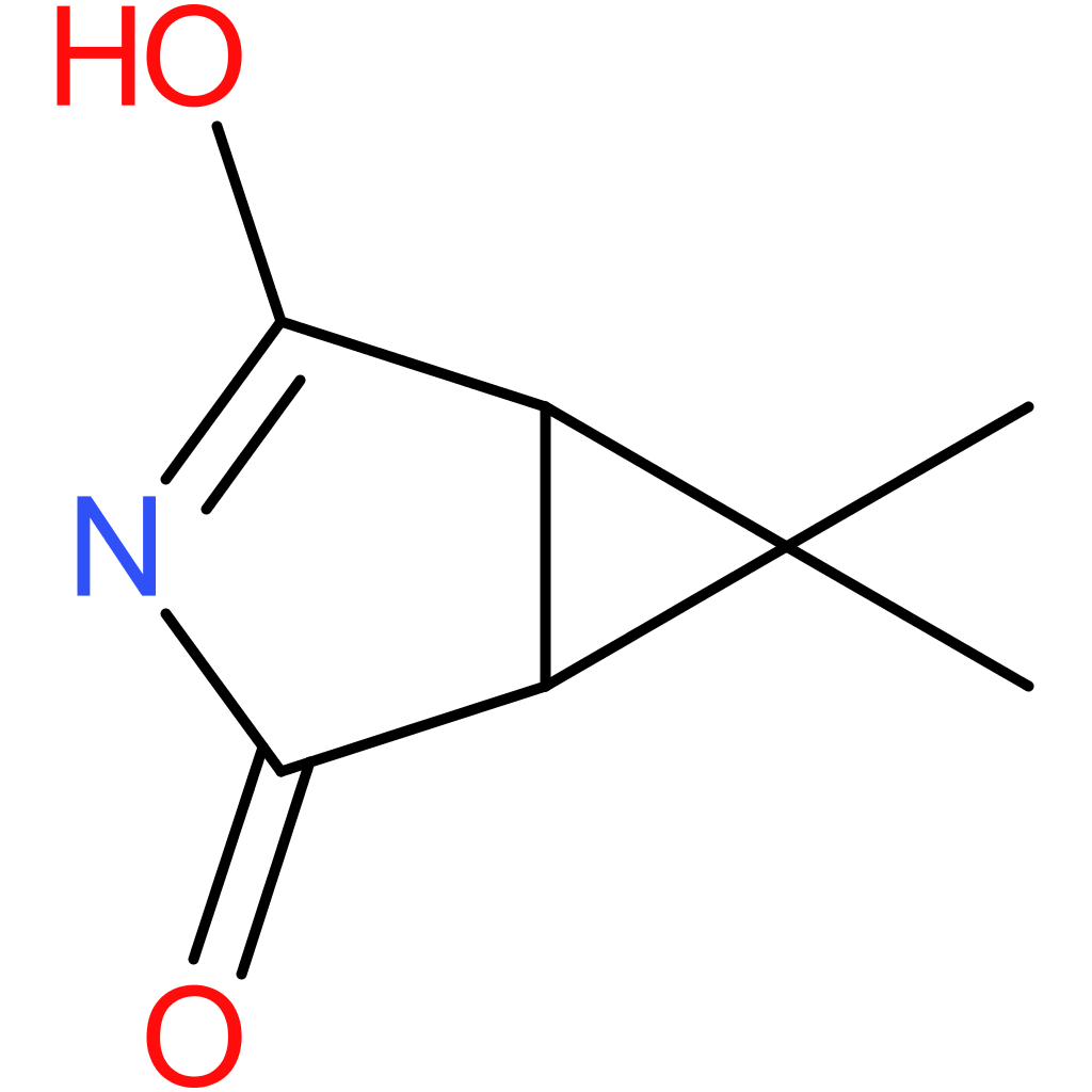 6,6-Dimethyl-3-azabicyclo[3.1.0]hexane-2,4-dione