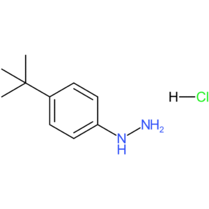 (4-(tert-Butyl)phenyl)hydrazine hydrochloride