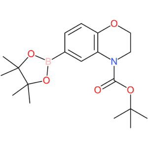tert-Butyl 6-(4,4,5,5-tetramethyl-1,3,2-dioxaborolan-2-yl)-2H-benzo[b][1,4]oxazine-4(3H)-carboxylate