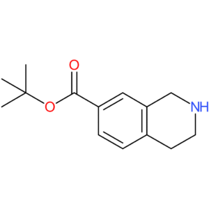 tert-butyl 1,2,3,4-tetrahydroisoquinoline-7-carboxylate