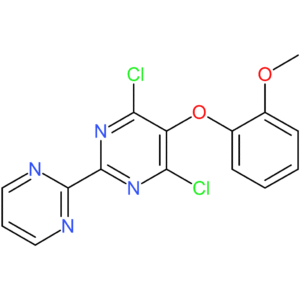4,6-Dichloro-5-(2-methoxyphenoxy)-2,2?-bipyrimidine
