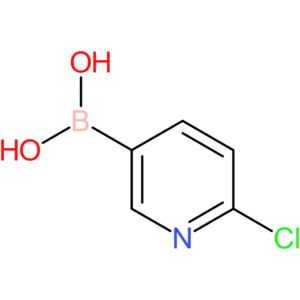 2-Chloro-5-pyridylboronic Acid