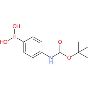 4-(Boc-amino)phenylboronic Acid