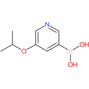 (5-Isopropoxypyridin-3-yl)boronic acid