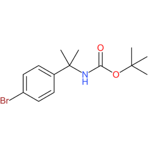 1-[(1-tert-butoxycarbonylamino-1-methyl)ethyl]-4-bromobenzene
