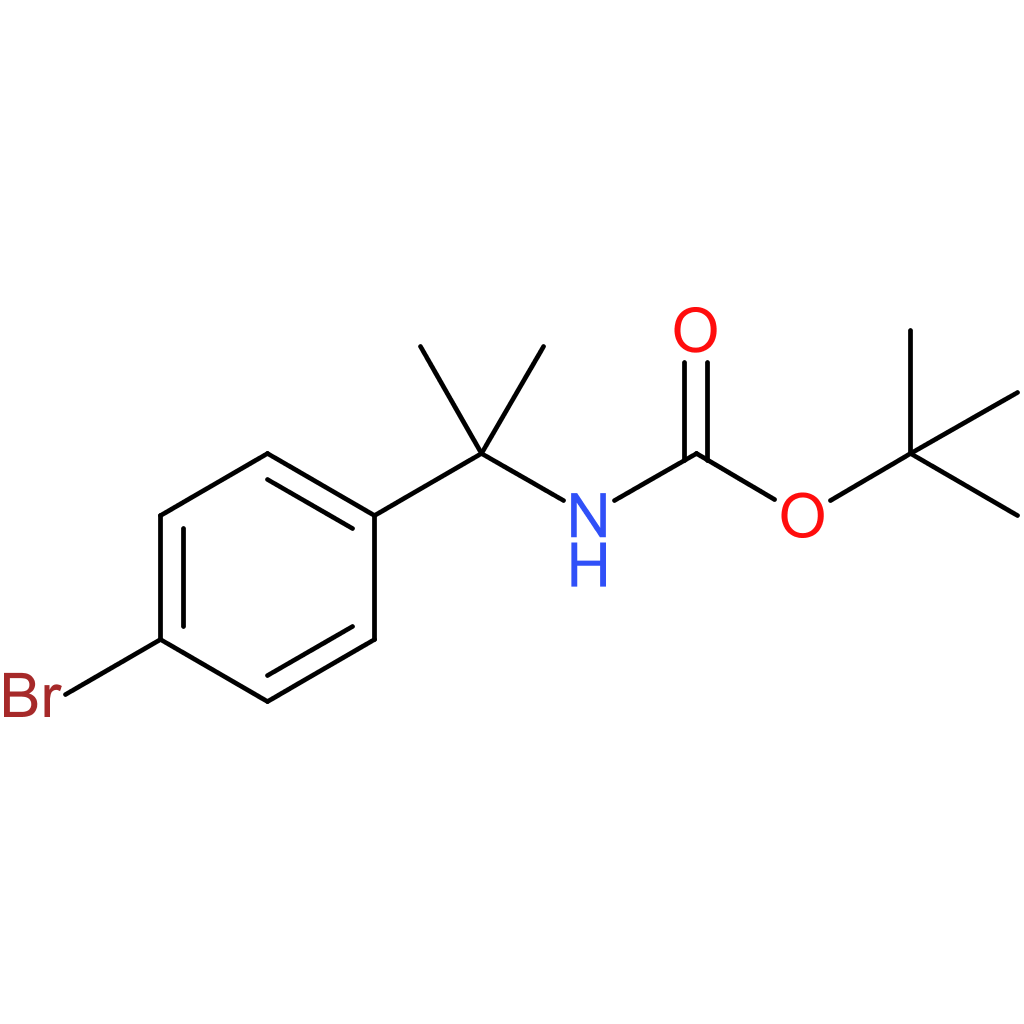 1-[(1-tert-butoxycarbonylamino-1-methyl)ethyl]-4-bromobenzene