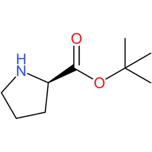 H-D-Pro-OtBu (syrup)