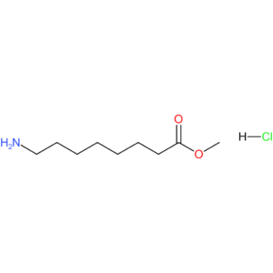 methyl 8-aminooctanoate hydrochloride