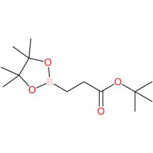 tert-Butyl 3-(4,4,5,5-tetramethyl-1,3,2-dioxaborolan-2-yl)propanoate