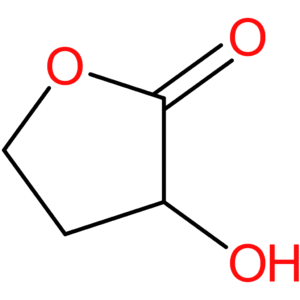 3-Hydroxydihydrofuran-2(3H)-one