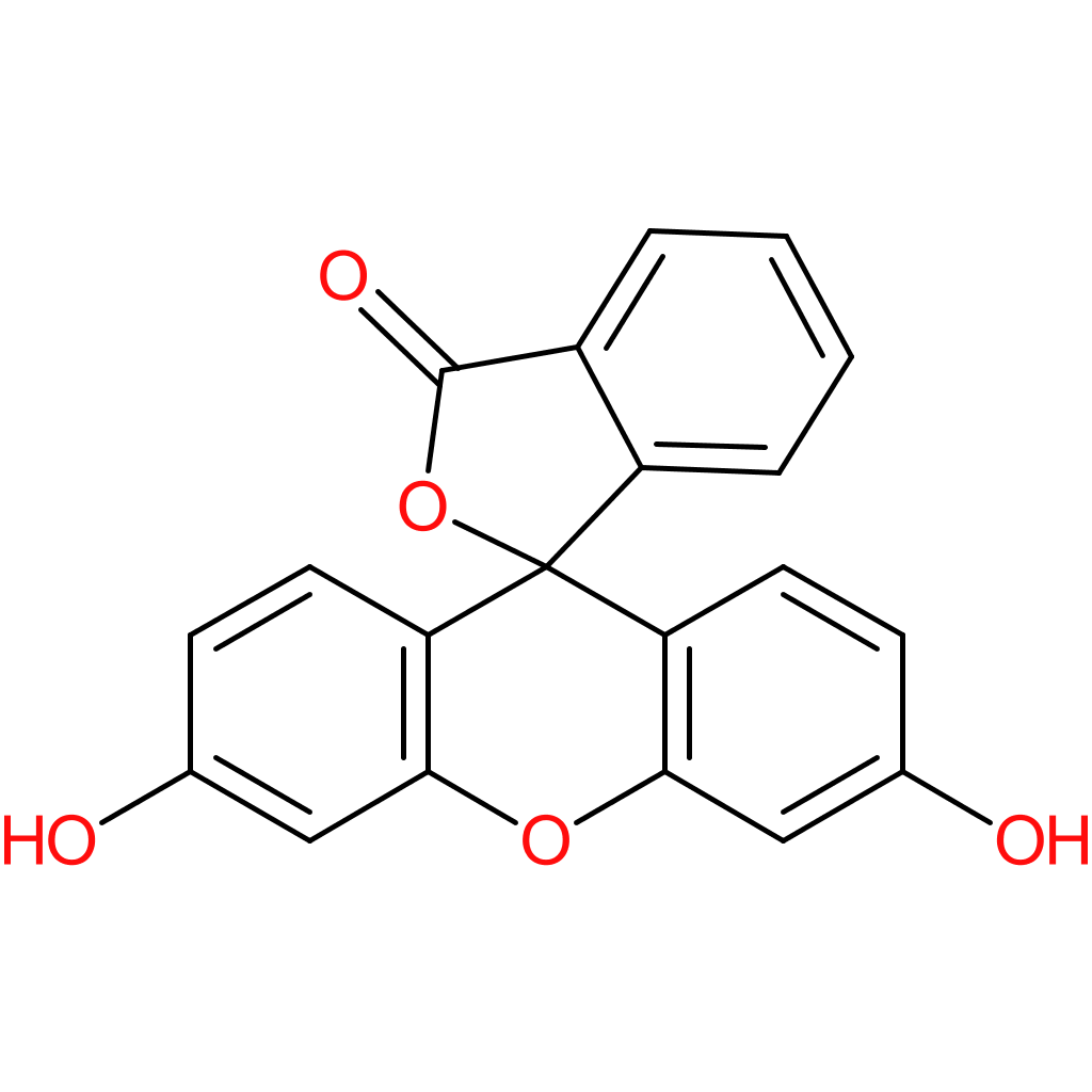 Fluorescein (free acid)