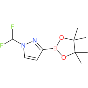 1-(difluoromethyl)-3-(tetramethyl-1,3,2-dioxaborolan-2-yl)-1H-pyrazole
