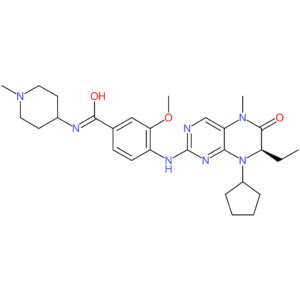 BI 2536