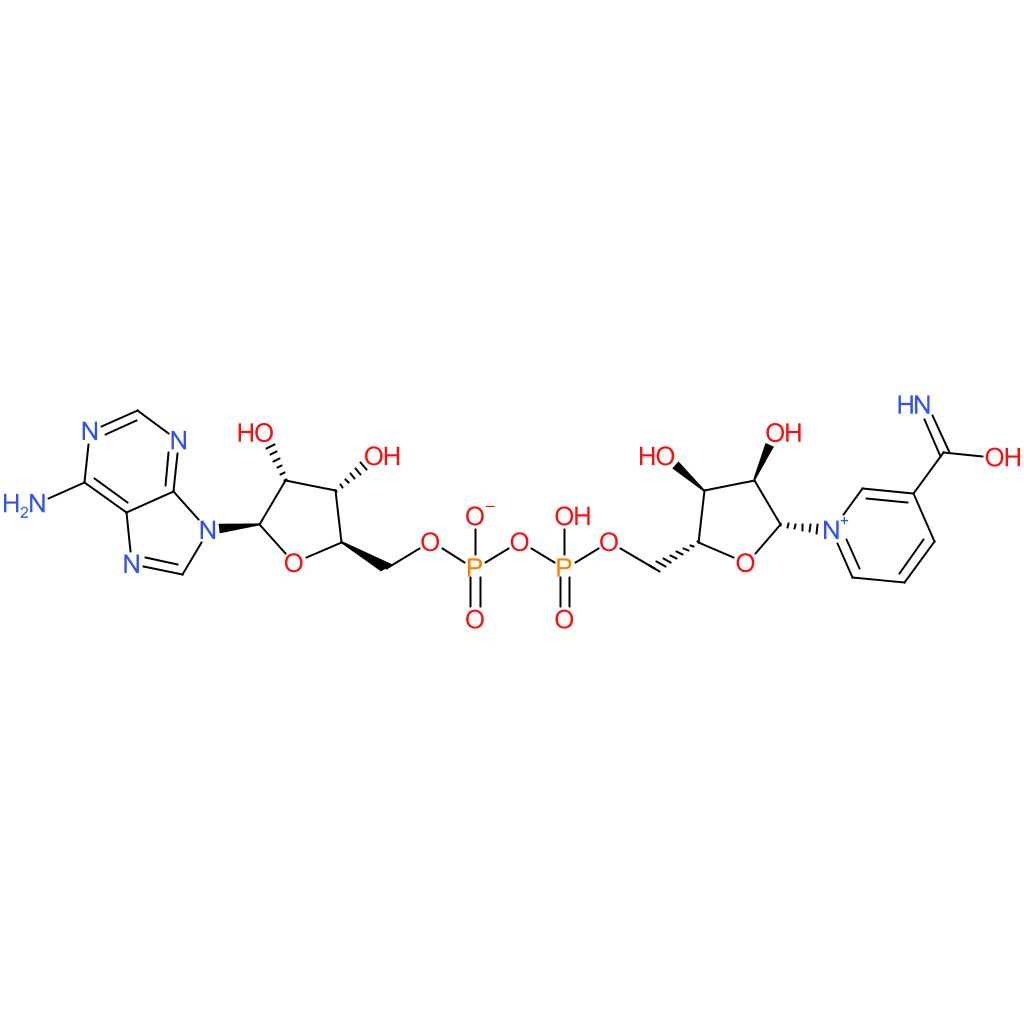 beta-Diphosphopyridine nucleotide