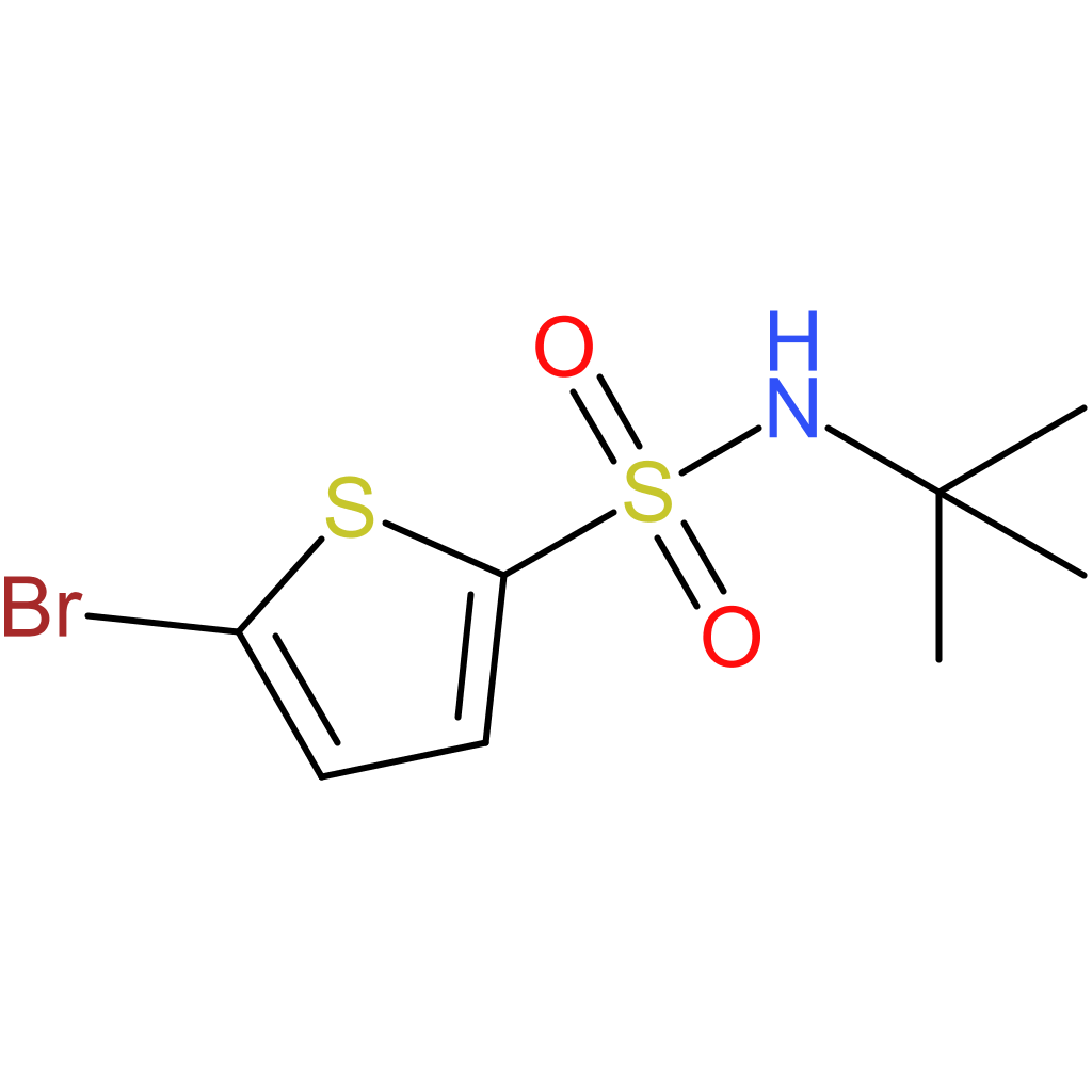 N-tert-Butyl 5-Bromo-2-thiophenesulfonamide