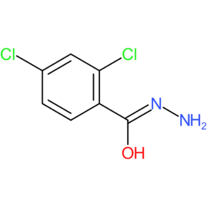 2,4-Dichlorobenzhydrazide