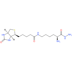 L-Lysine,N6-[5-[(3aS,4S,6aR)-hexahydro-2-oxo-1H-thieno[3,4-d]imidazol-4-yl]-1-oxopentyl]-,hydrazide