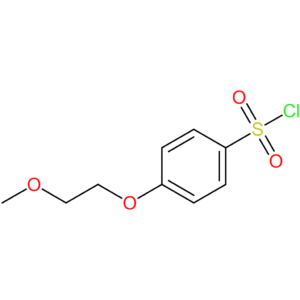 4-(2-Methoxyethoxy)benzene-1-sulfonyl chloride
