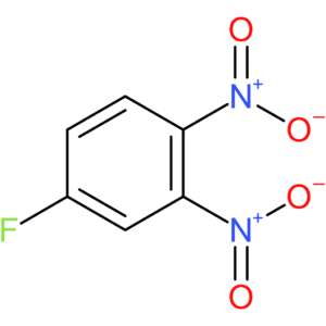 4-Fluoro-1,2-dinitrobenzene