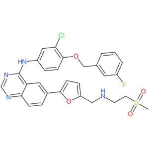 Lapatinib