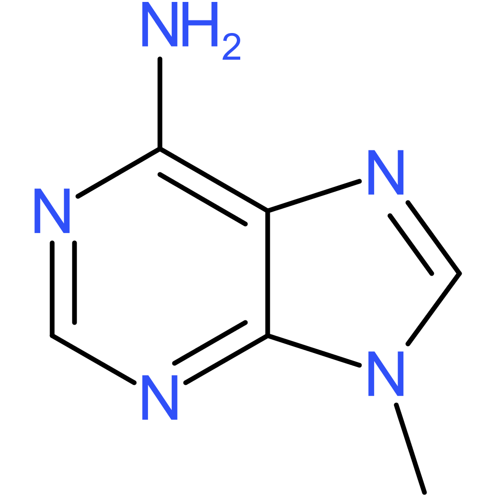 9-Methyladenine