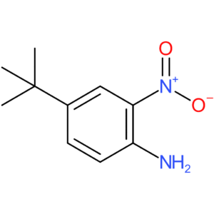 4-tert-butyl-2-nitrobenzenamine