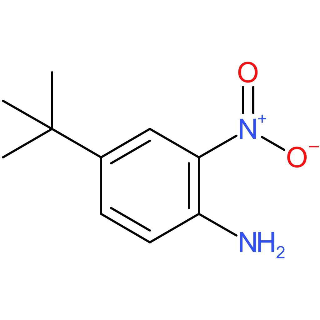 4-tert-butyl-2-nitrobenzenamine