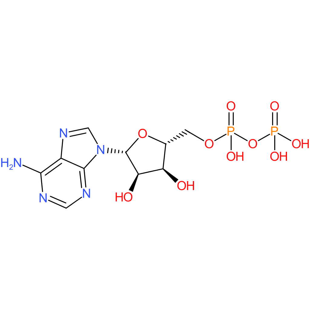 Adenosine 5-diphosphate