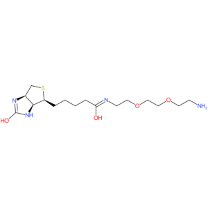 N-Biotinyl-3,6-dioxa-1,8-octanediamine