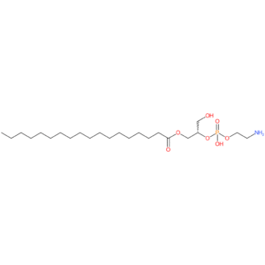 1-Octadecanoyl-sn-glycero-3-phosphoethanolamine
