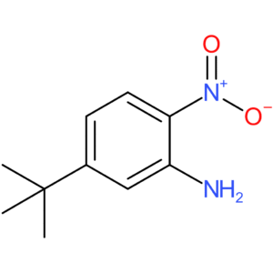 5-Tert-butyl-2-nitroaniline