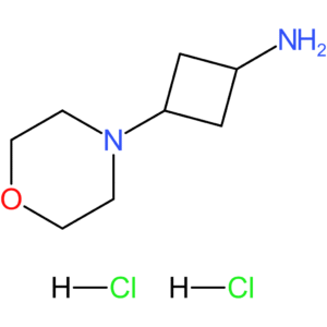 3-(Morpholin-4-yl)cyclobutan-1-amine dihydrochloride