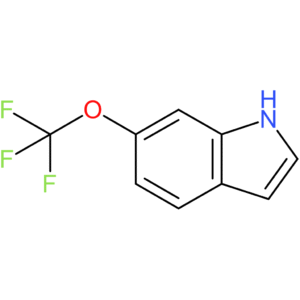 6-(Trifluoromethoxy)indole