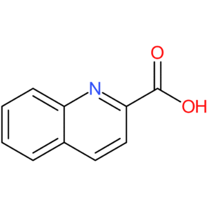 Quinoline-2-carboxylic Acid