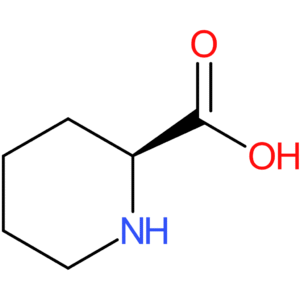 L-Pipecolic Acid