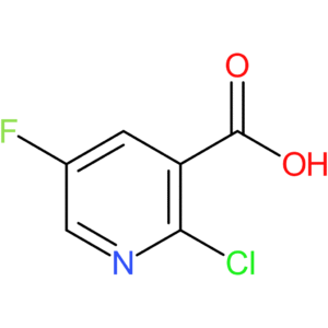 2-Chloro-5-fluoronicotinic acid