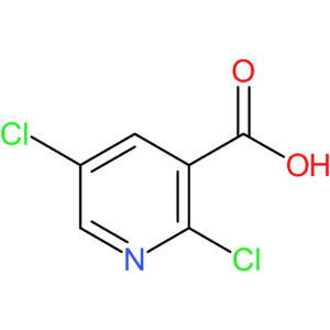 2,5-Dichloronicotinic Acid