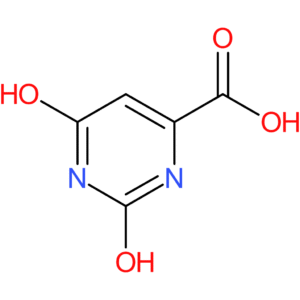 Orotic Acid