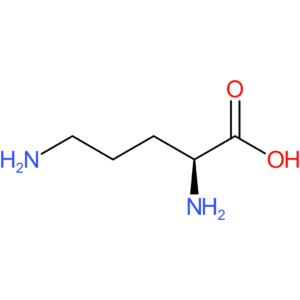 (S)-2,5-Diaminopentanoic acid