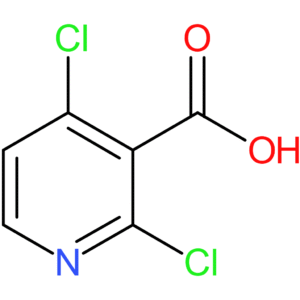 2,4-Dichloronicotinic Acid