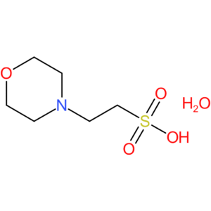 MES Monohydrate