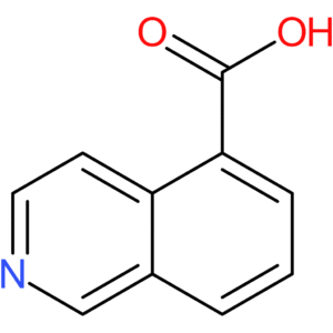 Isoquinoline-5-carboxylic Acid