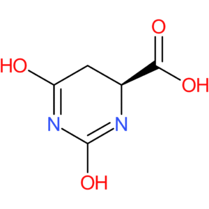 (S)-2,6-Dioxohexahydropyrimidine-4-carboxylic acid
